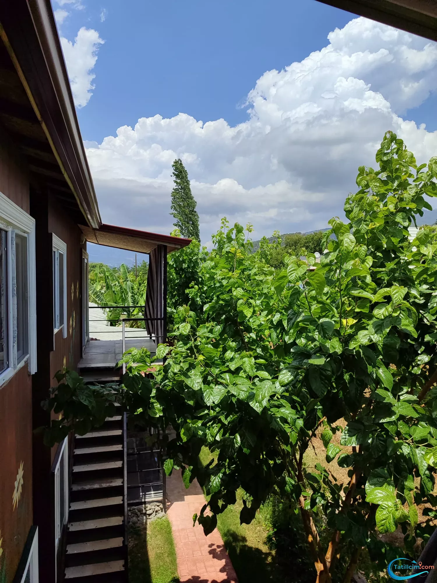 tatilcim.com Adrasan Asya Apart 